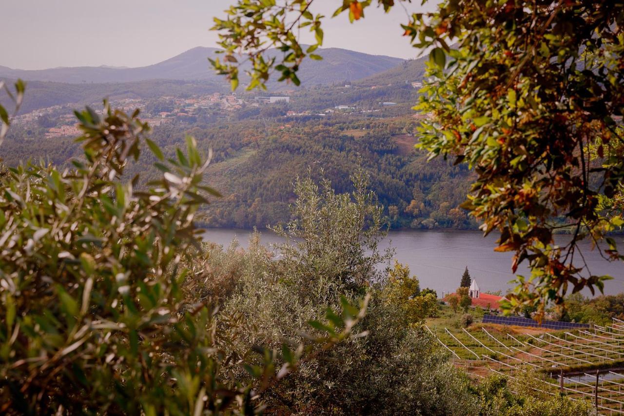 Arrabia Guest Houses Glamping Raiva Dış mekan fotoğraf